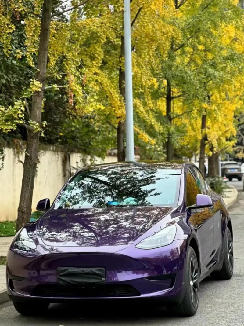 Glossy Venetian Purple Vinyl Wrap, detail view 2 | HIGHCOOL